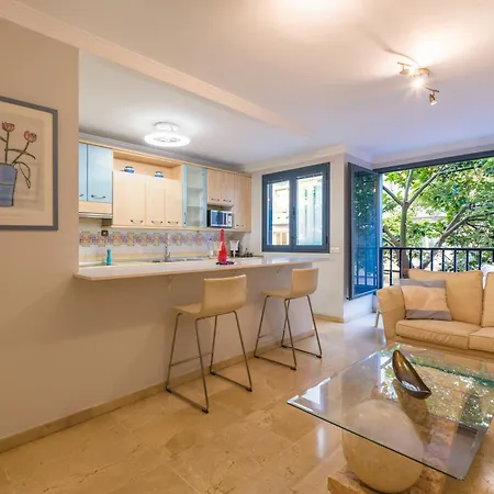 Live Palmas Walkiria